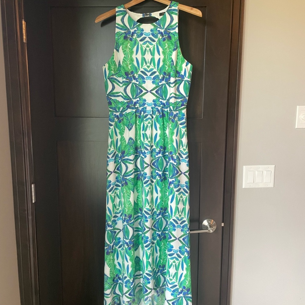 Cynthia Steffe Floral Maxi Dress Size 12